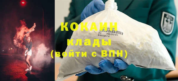 прущие грибы Беломорск