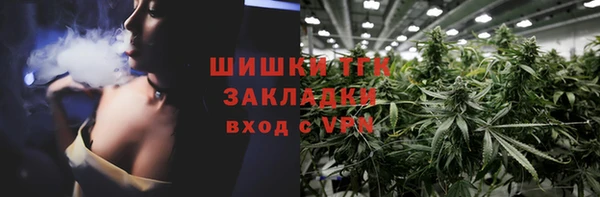 гашик Сосновка