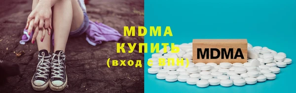 прущие грибы Беломорск