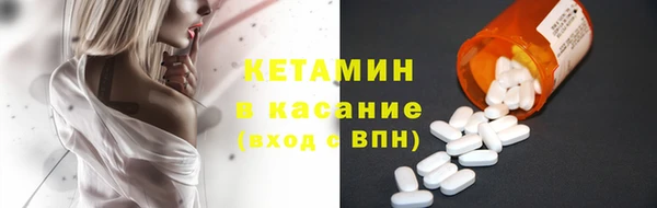 прущие грибы Беломорск