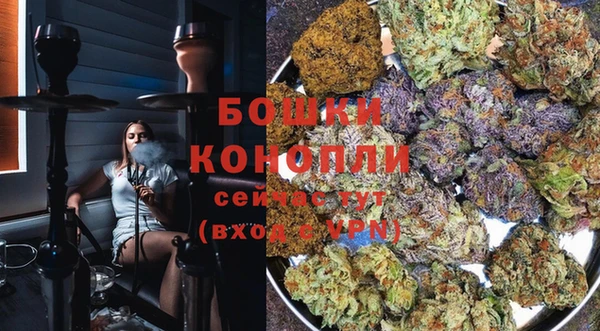 прущие грибы Беломорск