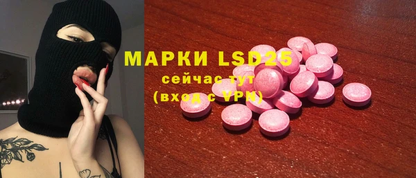 прущие грибы Беломорск